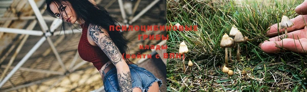 гашиш Белокуриха